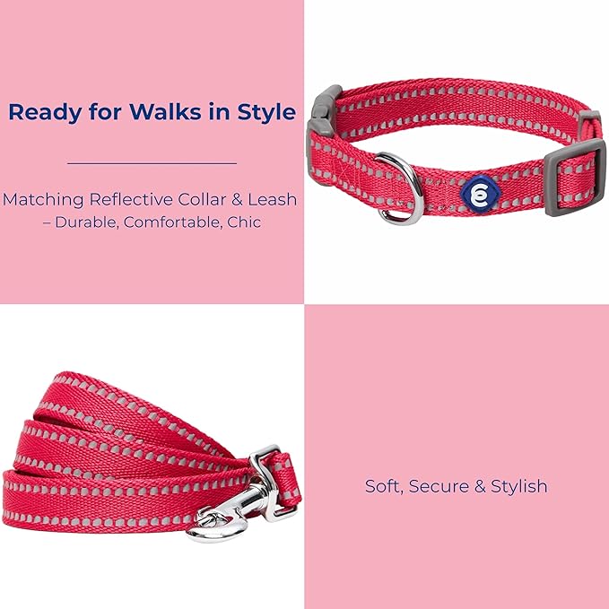 Blueberry Pet Essentials Reflective Dog Collar & Leash Set, Adjustable for Large Dogs | Safe Walking Gear for Pet Parents, Puppy Training & Daily Use LargeDogs, Very Berry
