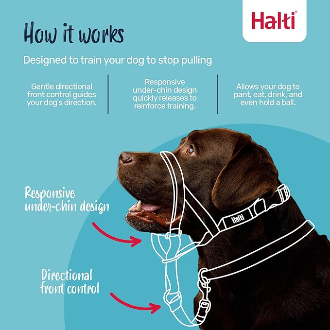 Halti Headcollar - Stop Your Dog Pulling on The Leash. Adjustable, Reflective and Lightweight, with Padded Nose Band. Dog Training Anti-Pull Collar for Small Dogs (Size 1, Cobalt Blue)