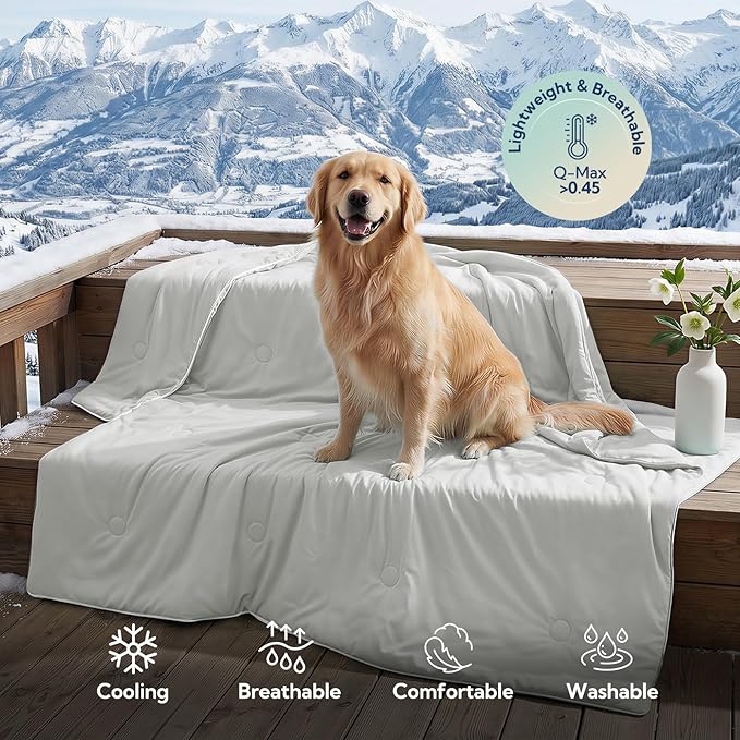 Soulbond Cooling Blanket for Extra Large Dogs - Q-MAX>0.45, Washable Cool Pet Cats Throw Blanket for Hot Weather, Self-Cooling Soft Dog Mat for Bed Crates Couch Sofa Cars(50"x60", Light Grey)