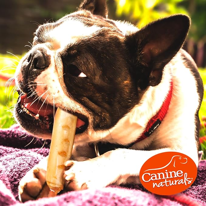 Canine Naturals Chicken Recipe Chew - Rawhide Free Dog Treats - Made from USA Raised Chicken - All-Natural and Easily Digestible - Large (2 Count) for Dogs 50-75Lb