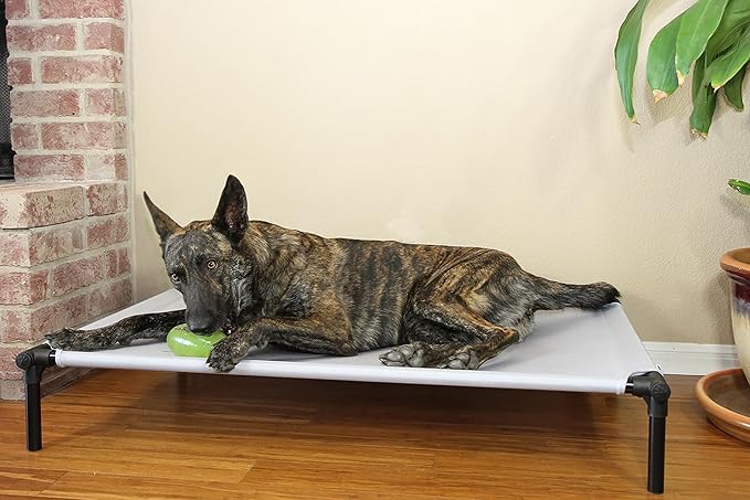 Starmark Dog Zone Bed X-Large Sunset Gold