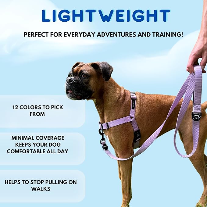 ShawnCo Dream Walk No-Pull Dog Harness- Adjustable, Comfortable, Easy to Use Pet Halter to Help Stop Pulling for Small, Medium and Large Dogs- Art Pattern Designs (Wolf Moon, S)