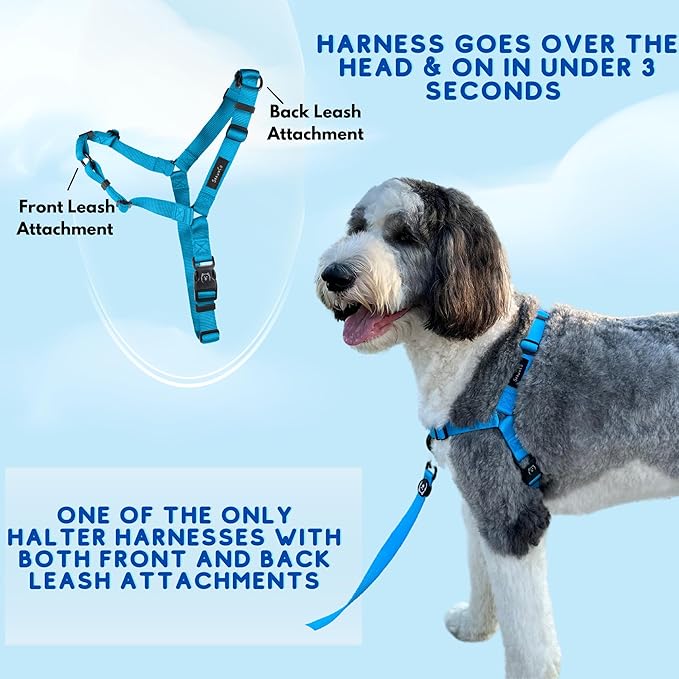 ShawnCo Dream Walk No-Pull Dog Harness- Adjustable, Comfortable, Easy to Use Pet Halter to Help Stop Pulling for Small, Medium and Large Dogs- Art Pattern Designs (Stars and Stripes, S)
