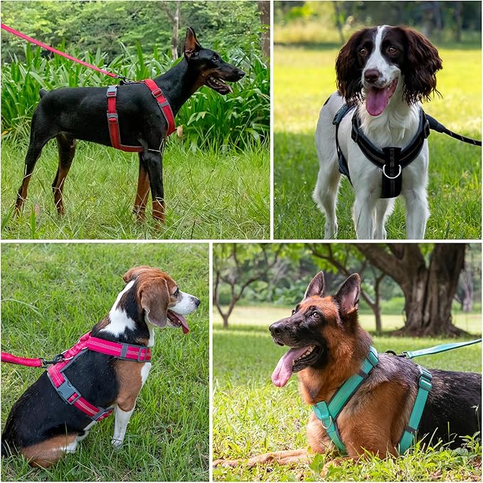 Plutus Pet No Pull Dog Harness, Adjustable Nylon Harness with Soft Padding, Reflective and Heavy Duty Dog Harness for Small, Medium, Large Dogs(Beige, XS)