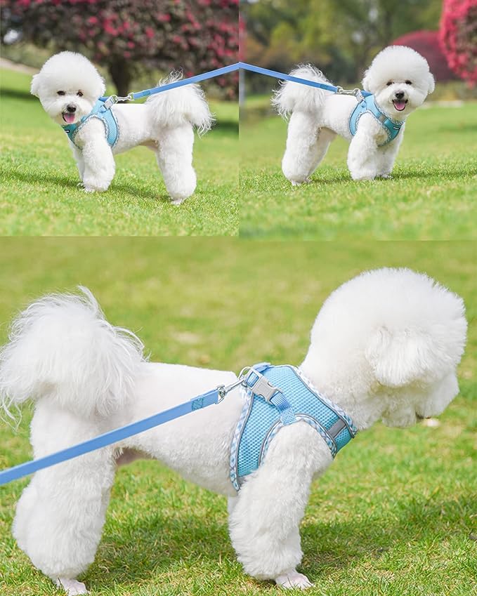 Petank Dog Harness for Small Medium Dogs No Pull, Puppy Harness and Leash Set, Step in Dog Harness for Walking, Running, Training, Small Dog Vest, Medium Dog Vest (Bule, M)