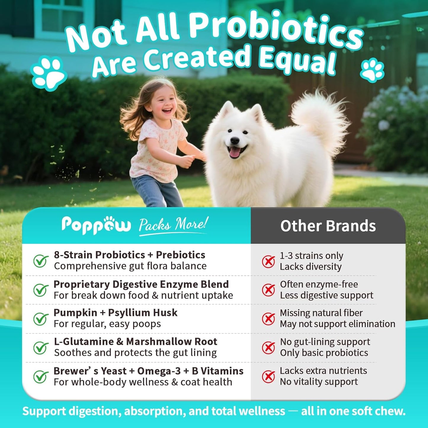 Probiotics for Dogs, Digestive Enzymes for Gut Health Support, Dog Fiber Supplement with Pumpkin for Diarrhea & Bowel Support, Upset Stomach & Gas Relief, Constipation - 60 Count Chicken Flavor