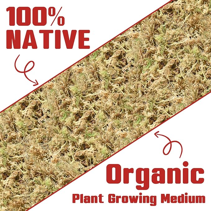 Halatool Premium New Zealand Sphagnum Moss, 200g(16L When Hydrated), for Orchid Repotting Succulent Sarracenia Potted Plants Gardening & Reptiles