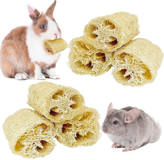 BNOSDM Bunny Chew Toys Natural Loofah 6PCS Bunny Teeth Grinding Toy Rabbit Fiber-Rich Treats Pet Entertainment Accessories for Rabbits Chinchillas Guinea Pig（XL）