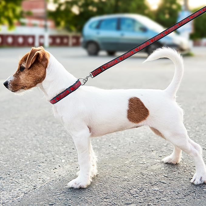 Pets First NFL Tampa Bay Buccaneers Licensed PET COLLAR, Large - Heavy-Duty, Strong, and Durable Dog Collar. Available in 31 Football Teams and 4 Sizes