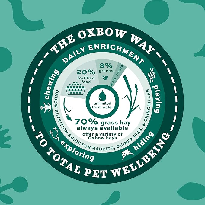 Oxbow Essentials Young Guinea Pig Food, Guinea Pig Pellets Made with Timothy Hay, Stabilized Vitamin C, Small Animal Pet Products, Small Animal Food Made in USA, High Fiber, 10 lb. Bag