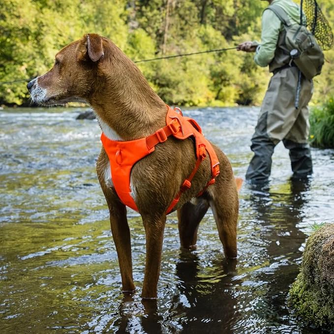 Ruffwear, Web Master, Multi-Use Support Dog Harness, Hiking and Trail Running, Service and Working, Everyday Wear, Blaze Orange, Small