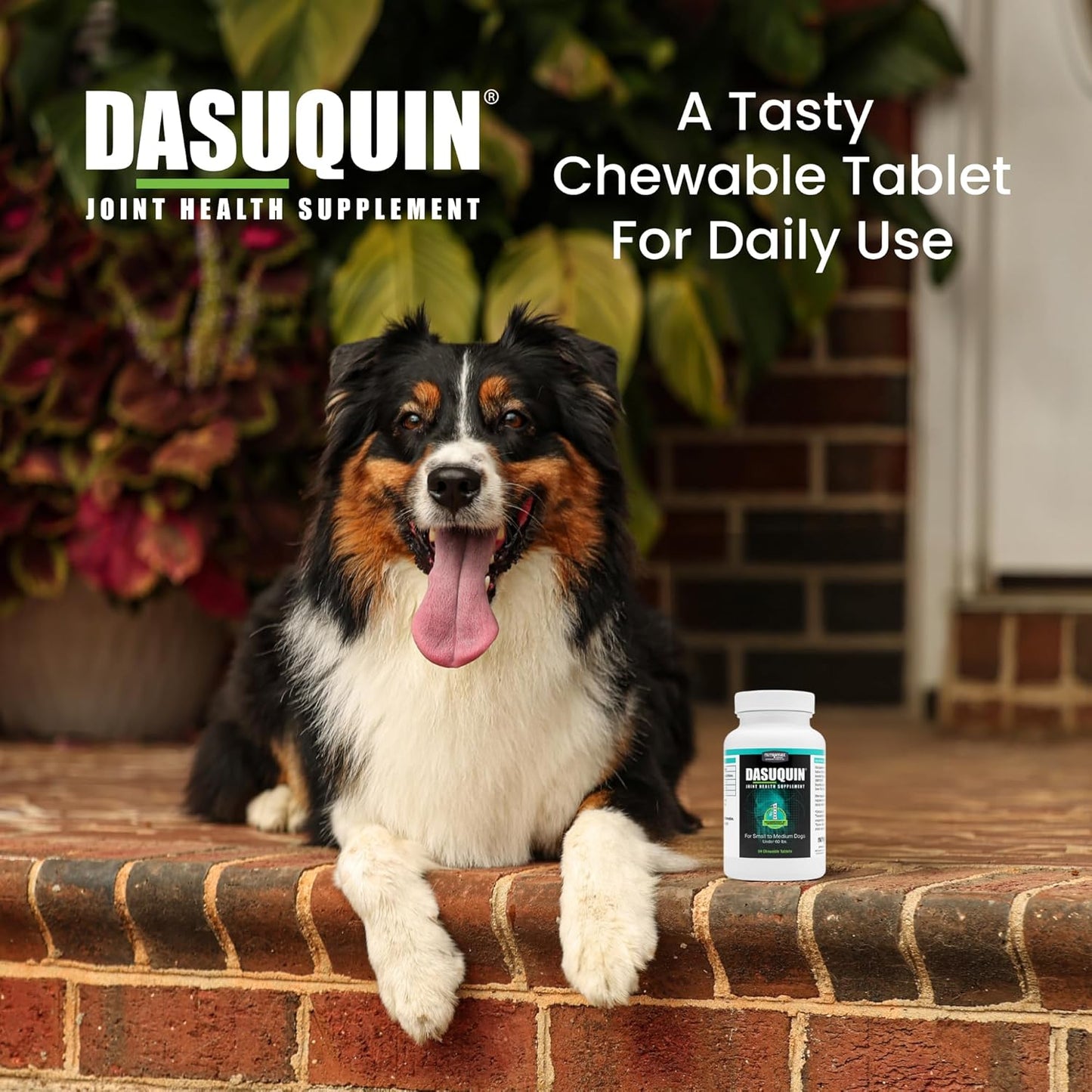 Nutramax Dasuquin for Small to Medium Dogs, Joint Health Supplement, Contains Glucosamine for Dogs, Plus Chondroitin, ASU and More, Supports Healthy Joints, Soft Chews, 84 Count