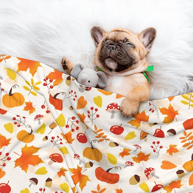 Fall Blanket for Dog Cat - Pumpkin Mushroom Throw Blanket 40x30 Halloween Autumn Pet Blanket for Couch Sofa Bed