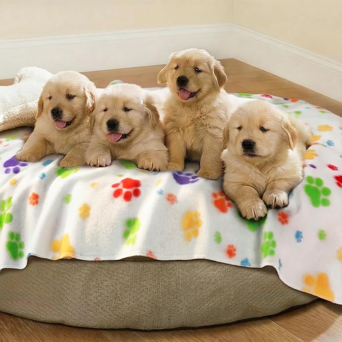 LINENLUX Cute Dog Blanket for Small Medium Dogs 6-Pack Soft Stretchy Fleece Blankets for Pet Cat Puppy Warm Wrinkle-Resistant Throw for Couch Bed Outdoor Mix 45x31 inch (Pack of 6)
