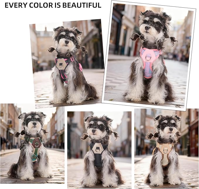 Small Dog Harness and Leash Set, Breathable Mesh Puppy Harness, Adjustable Dog Harness for Small Medium Large Dogs, No-Pull Pet Harness for Daily Walking (Black, Large)