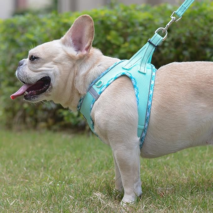 Mercano Soft Mesh Dog Harness and Leash Set, No-Chock Step-in Reflective Breathable Lightweight Easy Walk Vest Harnesses with Safety Buckle for Small Dogs, Cats (Light Green, L)