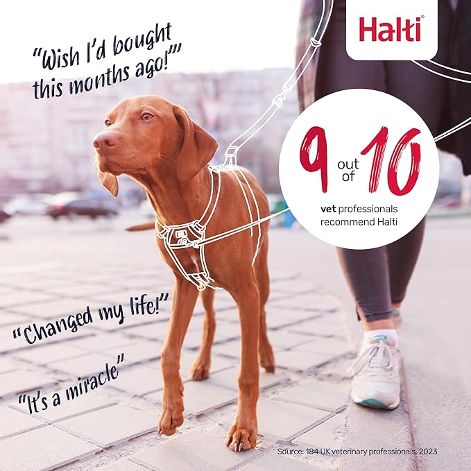 Halti No Pull Harness - Stop Your Dog Pulling on the Leash. Adjustable, Lightweight and Easy to Use. Reflective Dog Training Harness for Small Dogs (Size S, Forest Green)