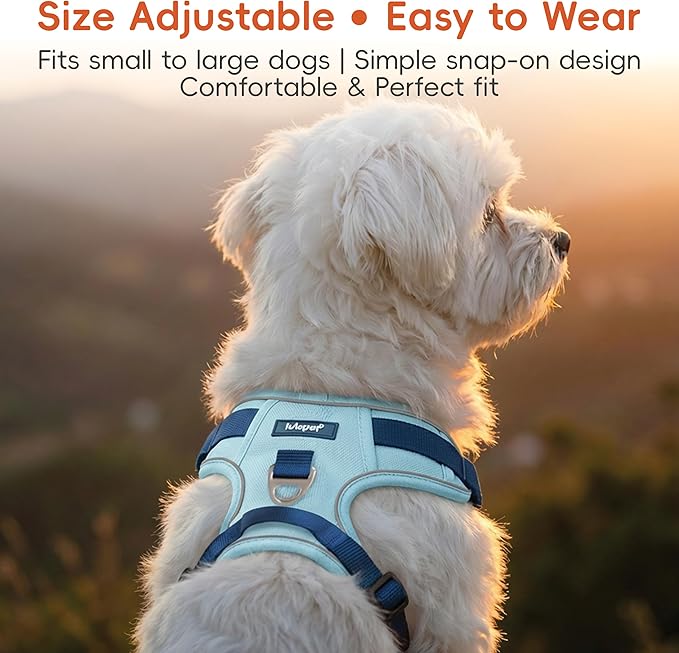 3 in 1 No Pull Dog Harness Leash and Collar Set, Soft Adjustable Dogs Vest Reflective and Comfortable Handle Blue Large
