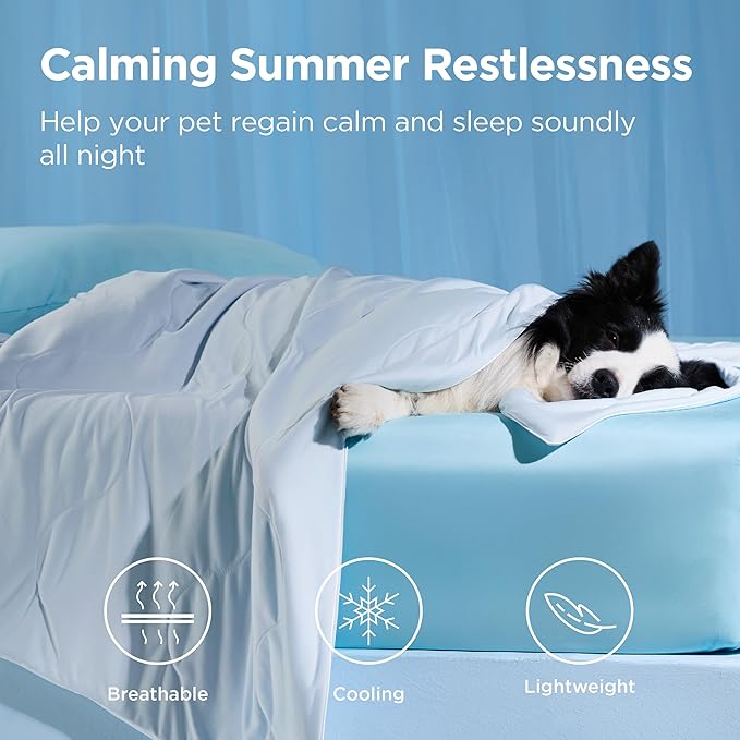 Bedsure Cooling Blanket for Medium Dogs with Breathable Air-Core Fill Q-MAX>0.4 - Dog Cooling Mat Soft, Lightweight Pet Cat Throw Cold Blanket Washable for Summer, Arctic Blue, 30x40