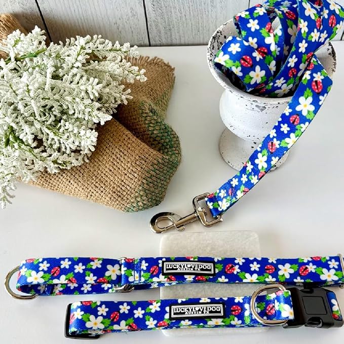 Lucky Love Dog - Easy Click Buckle Dog Collar with Leash Set Combo, Durable & Comfortable for Male & Female Dogs, Pet Collar for Small Dogs, Secure Fit - Lilian Combo, XS