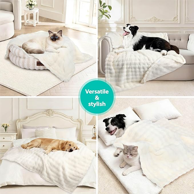 Dog Blankets Washable Pet Blanket - Fluffy Fuzzy Cat Puppy Blanket with Premium 300GSM 3D Fleece Bubble for Pet Kitten Doggy, Cream, 30x40IN