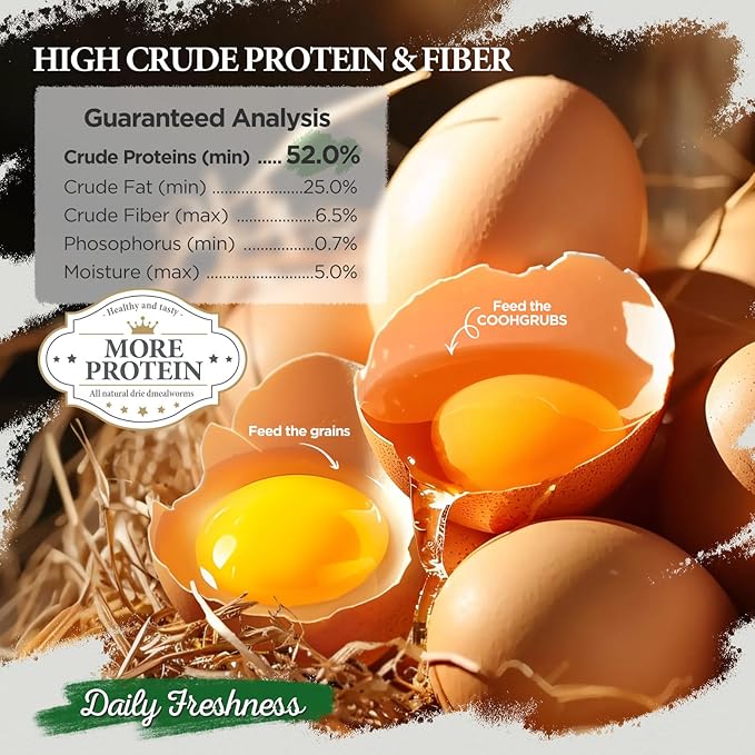 Dried Mealworms for Birds, Non-GMO High Protein Chicken Treats & Poultry Feed, 10 lb Bag
