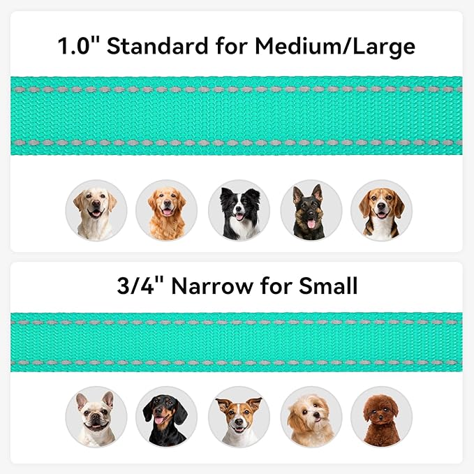Joytale Dog Leash, 6 FT Double-Sided Reflective, Padded Handle Nylon Heavy Duty Leashes for Medium & Large Dogs Walking, Teal