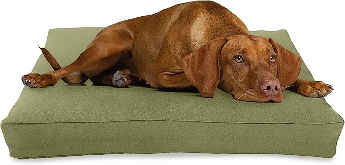 Medium - 36 x 24 x 5 - Cactus Premium Org Hemp Dog Bed - Organic Latex Fill - Removeable Cover