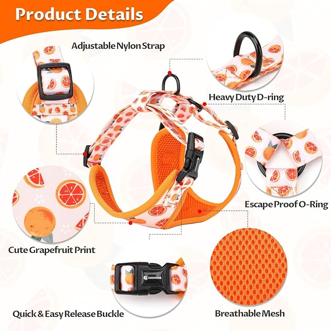 Dog Cat Harness and Leash Set, Puppia Soft Mesh Padded and Adjustable Puppy Vest Cute Dog Clothes Escape Proof Easy Walk Pet Accessories (Grapefruit, M (Neck 13.4"-16.5"; Chest 17.7"-23"))