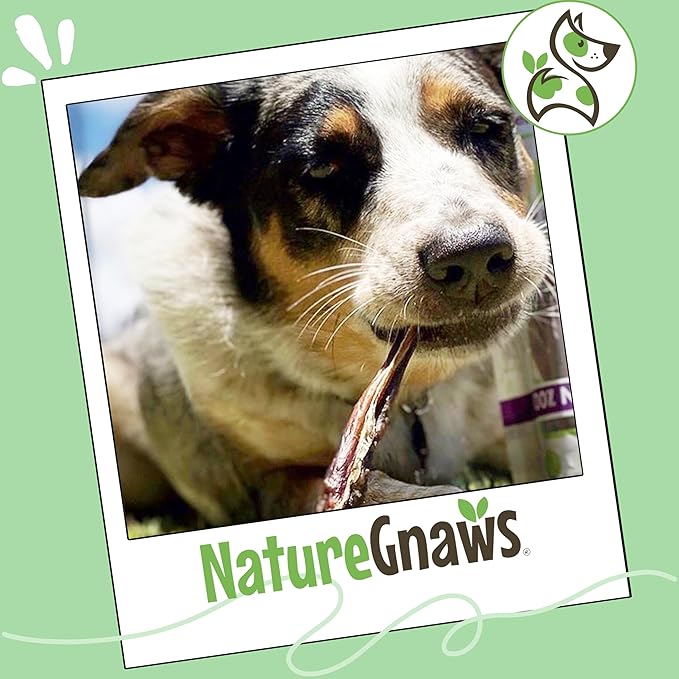 Nature Gnaws Extra Thin Pork Bully Sticks for Small Dogs 5-6" (15 Count) - Long Lasting for Light Chewers and Puppies - Natural Bacon Dog Chew Treats