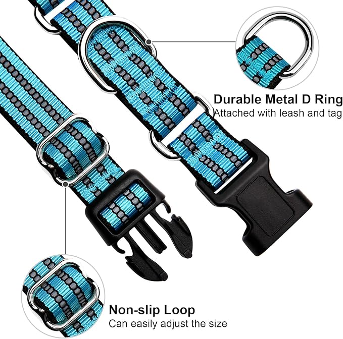 Martingale Dog Collar, Adjustable Nylon Reflective Collar with Buckle No Pull Dog Collar for Small Medium Large Dogs（Blue S