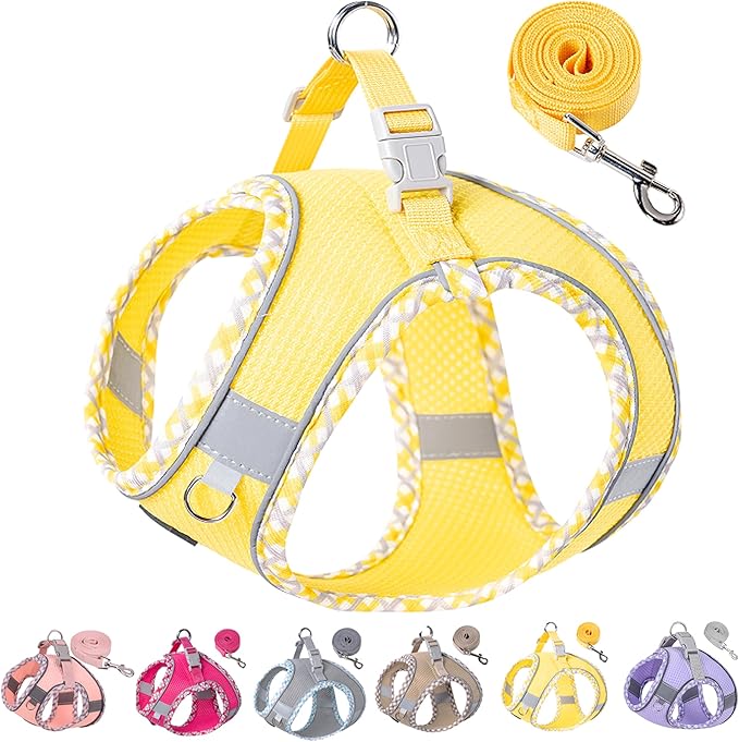 Petank Dog Harness for Small Medium Dogs No Pull, Puppy Harness and Leash Set for Walking, Running, Training, Small Dog Harness, Medium Dog Harness (Yellow, S)