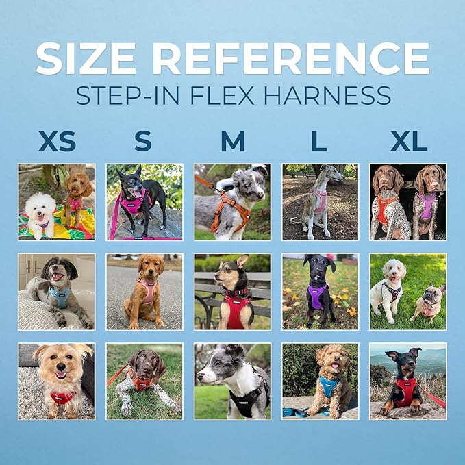 Best Pet Supplies Voyager Adjustable Step-in Flex Breathable Mesh Dog Harness for Small Medium Large Dogs (Army/Black Trim), XS
