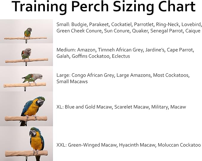 Parrot Training Perch Kit (T Perch, XXL)