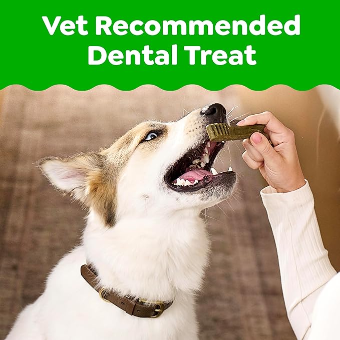 Greenies Veterinarian-Recommended Adult Natural Dental Dog Treats Petite Size, Variety Pack Flavor, (3) 12 oz. Packs, 60 Count