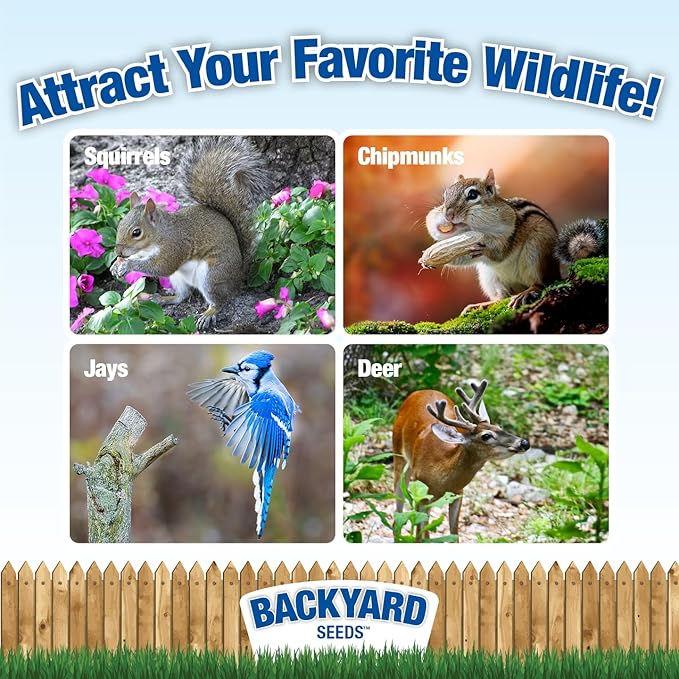 Backyard Seeds Squirrel & Chipmunk Food Mix – 8 lb Bag – Premium Wildlife Blend with Sunflower Seeds, Peanuts & Corn – Ideal for Squirrels, Chipmunks, Rabbits & Backyard Birds