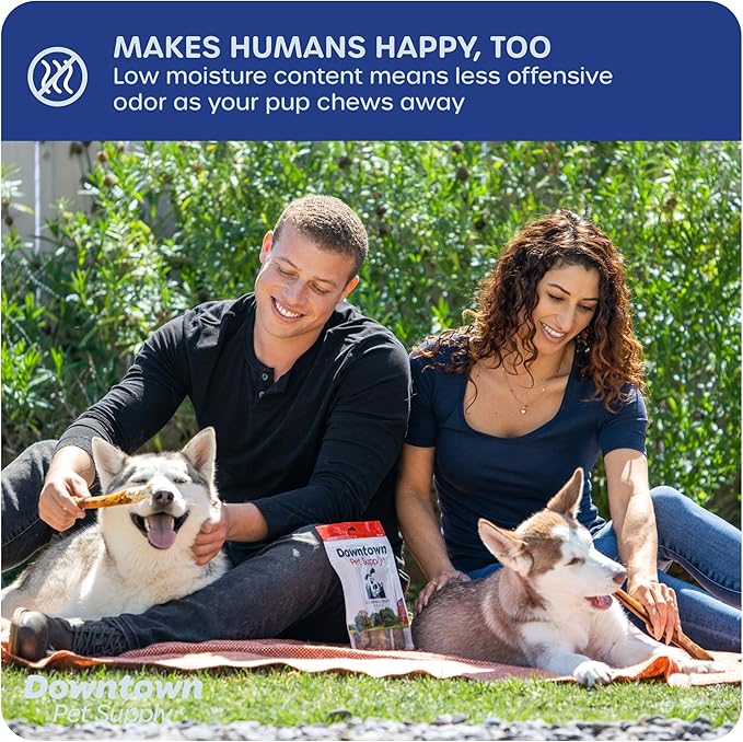 Downtown Pet Supply Jumbo Bully Sticks for Dogs - Natural Beef Chews, Low-Odor & Rawhide-Free, Long Lasting Dog Treats for Aggressive Chewers - Healthy, Safe & Delicious Chews Dogs Love (6" 10 Pack)