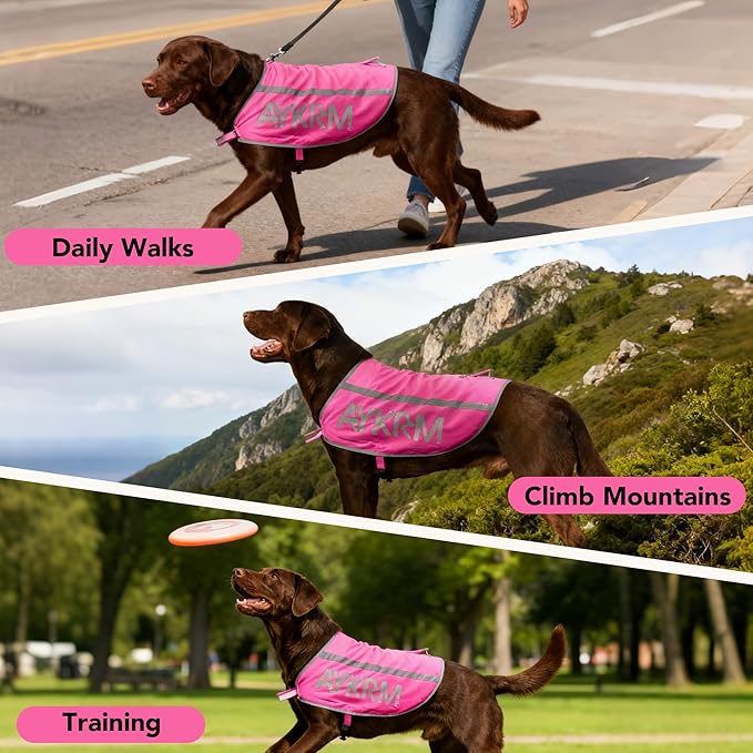 Pink Reflective Dog Vest Logo Small Breeds,High Visibility Dog Safety Vest Harness with Removable Bell Keep Safe from Hunting, Training & Cars Accidents