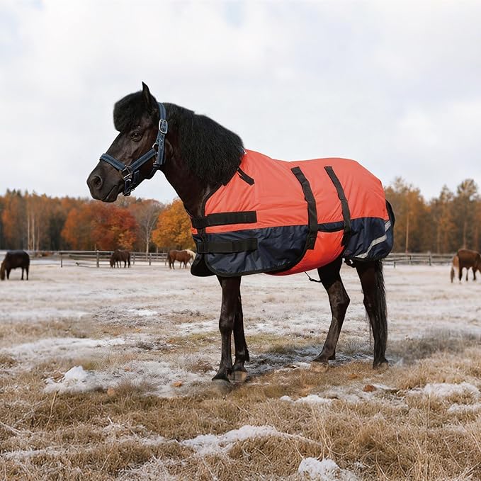 Foal/Mini Horse Size 30"-48" Waterproof & Breathable 300 Denier Winter Turnout Blanket with 150g Polyfill Fluorescencered Small