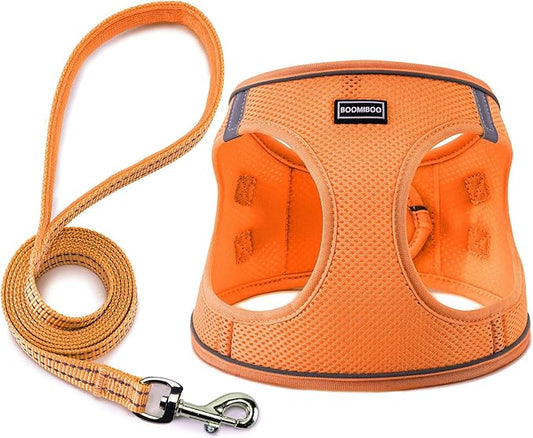 Dog Harness with Leash Set, No Pull Adjustable Reflective Step-in Puppy Pet Vest Harnesses for Small Medium Large Dogs and Cats,Orange XS