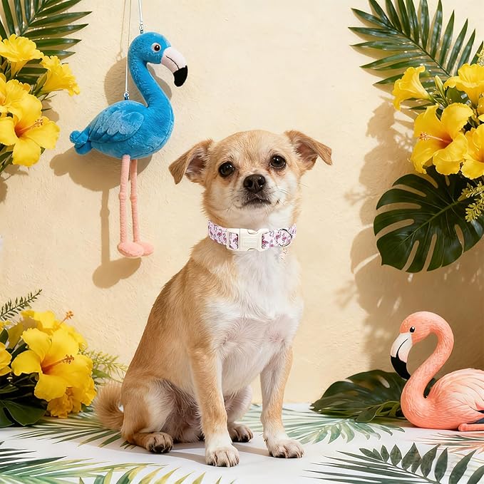 DOGWONG Cute Pet Dog Collar Pink Flamingos Cotton Dog Collar- Soft Girl Puppy Adjustable Pet Collars for Small Medium Large Dogs,L