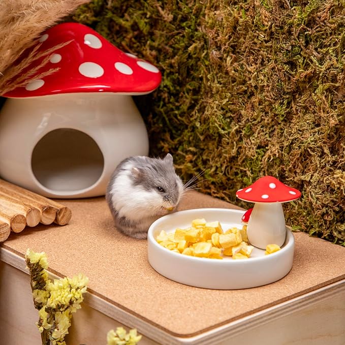 Niteangel Hamster Feeding & Water Bowls- Mushroom Ceramics Series Food Dish Feeding Bowls for Dwarf Syrian Hamsters Gerbils Mice Rats or Other Similar-Sized Small Pets (Feeding Bowl)