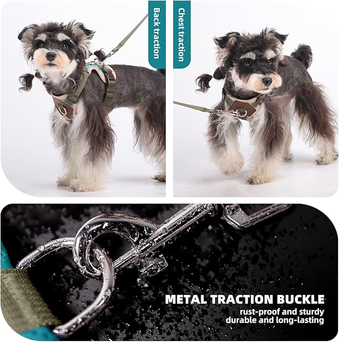 Small Dog Harness and Leash Set, Breathable Mesh Puppy Harness, Adjustable Dog Harness for Small Medium Large Dogs, No-Pull Pet Harness for Daily Walking (Lakeblue, Small)