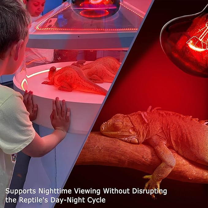 75W UVA Infrared Heat Lamp Bulb, Red Basking Spot Light for Lizard, Leopard Gecko, Turtle, and Chicks, High-Performance Red Heat Emitter for Reptile Tanks, Chicken Brooders & Terrariums
