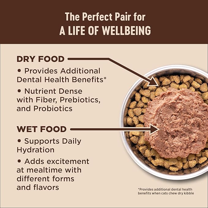 Wellness CORE+ Adult Dry Cat Food for Indoor and Outdoor Cats, Wholesome Grains, Natural, Digestive Health Salmon & Rice (11 Pound Bag)