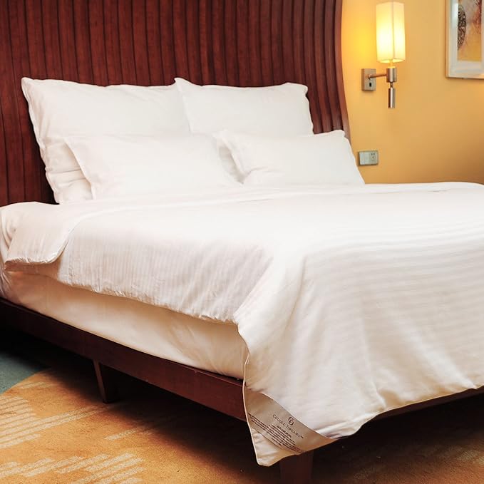 CUDDLE DREAMS Silk Comforter for Spring/Summer/Fall, 100% Long-Strand Silk Filling, Natural & Breathable (Queen Size)