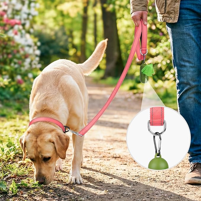 Joytale Dog Leash, 4 FT Double-Sided Reflective, Padded Handle Nylon Heavy Duty Leashes for Medium & Large Dogs Walking, Neon Pink