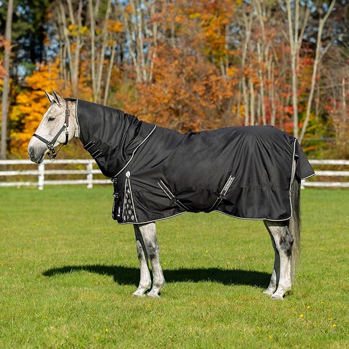Equinavia Norse Lightweight 100g Fill Horse Rain Blanket | Waterproof Turnout Sheet - Black - 66 in - Black - 66 in