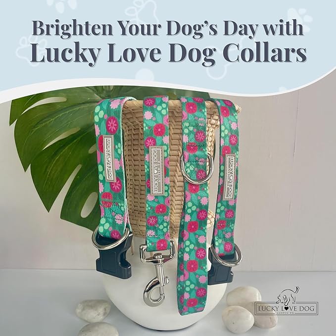 Lucky Love Dog - Adjustable Dog Collar with Easy Click Buckle for Large Dogs, Durable, & Comfortable for Male & Female Dogs, Pet Collar for Puppies & Adult Ones - Penny, Large