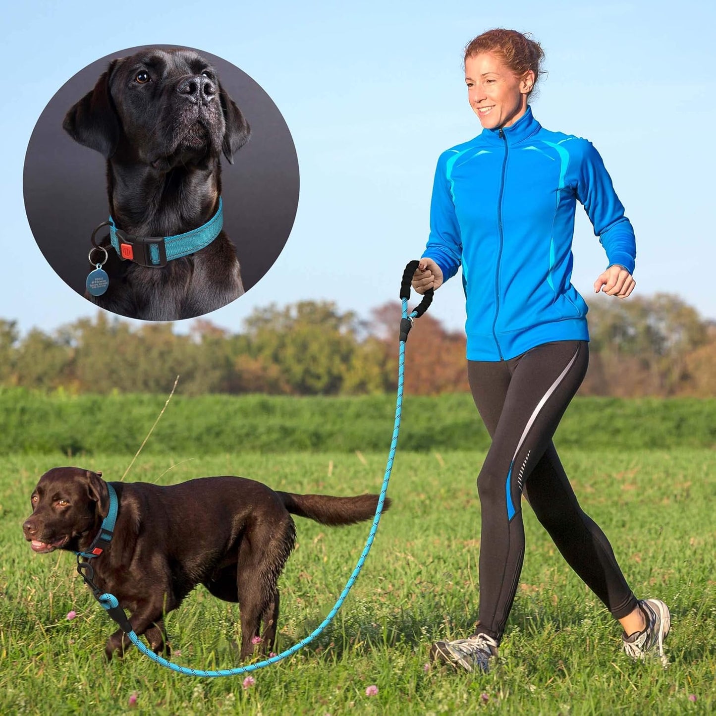 Heavy Duty Dog Leash - Comfortable Padded Handle, 5 ft Long - Dog Leashes for Small Medium Large Dogs (Leash+Collar S Neck 13.5"-16", Red)